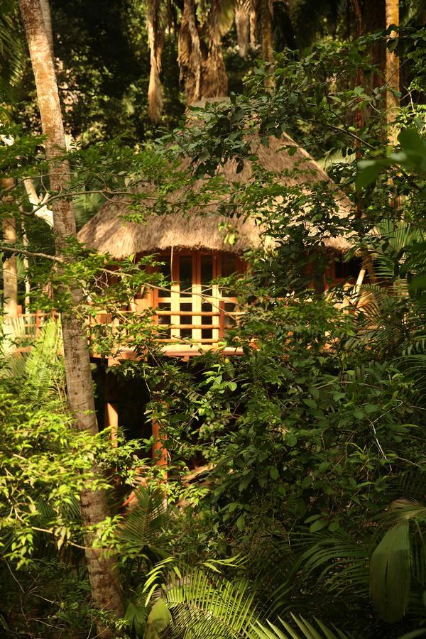 Aldea Bamboo Village San Francisco  Buitenkant foto